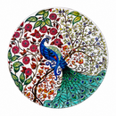 Onderzetter - Peacock